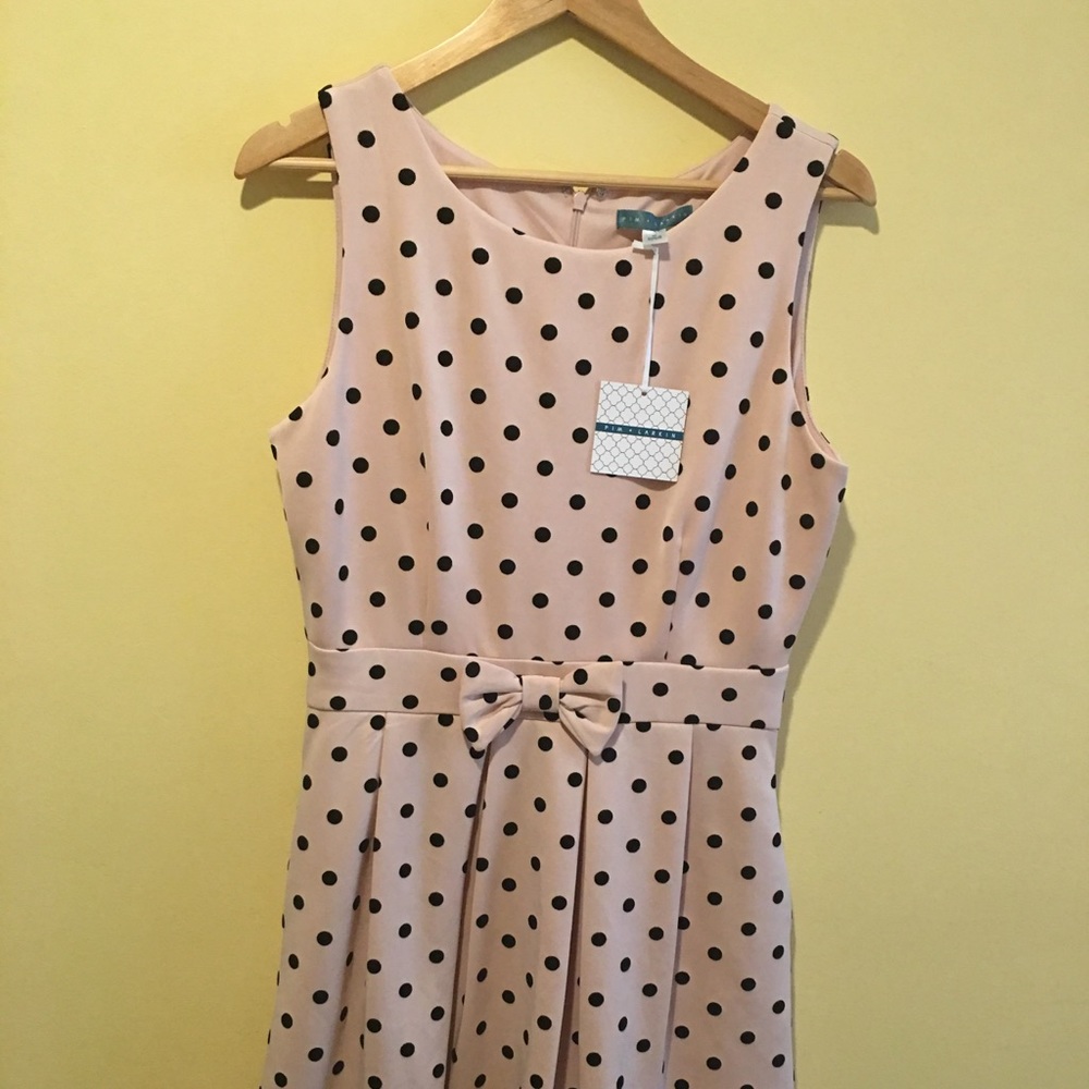 NWT adorable polka dot dress Pim and Larkin